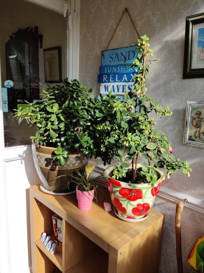 Cameron Court B&B Flamborough Bagian luar foto