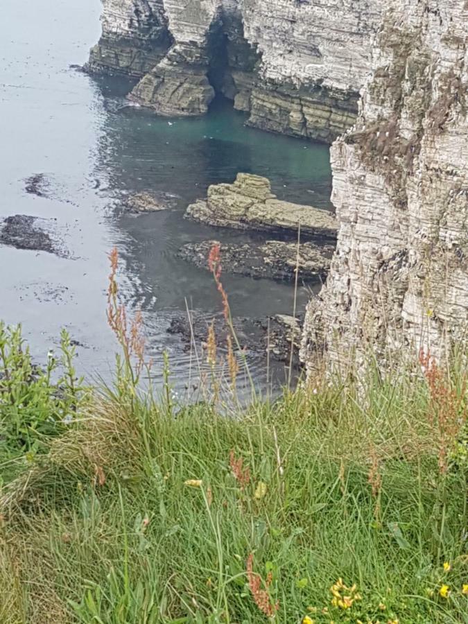Cameron Court B&B Flamborough Bagian luar foto